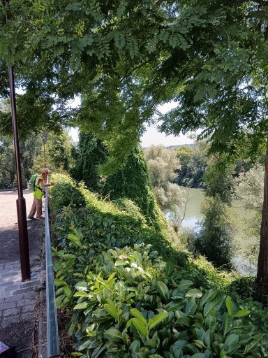 Chemin bordé d'arbres surplombant une rivière, avec des plantes luxuriantes.